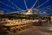 Mr.Co Event Planning