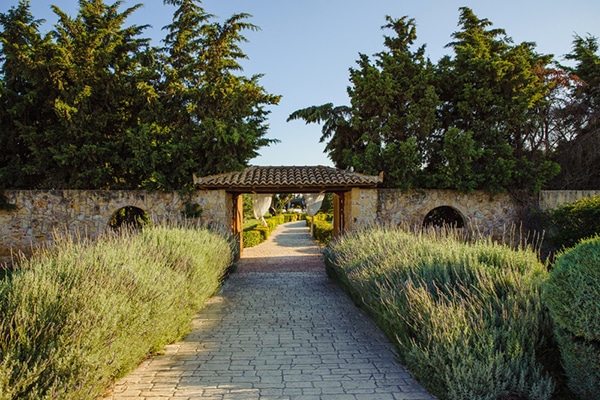 romantic-gardenwedding-athens-peonies-baby-breaths_05