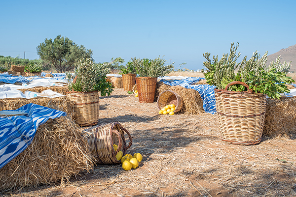 romantic-olive-grover-wedding-paros_12