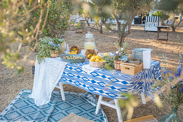 romantic-olive-grover-wedding-paros_23