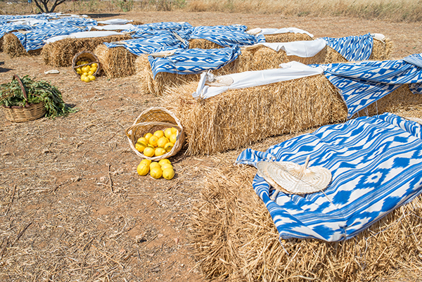 romantic-olive-grover-wedding-paros_23x