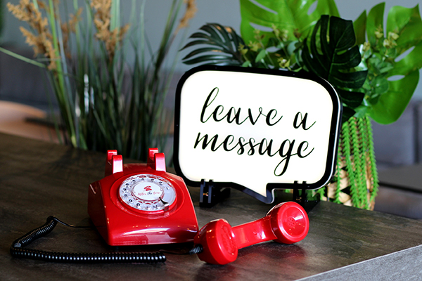 Unique idea to elevate your wedding party | Audio guest book