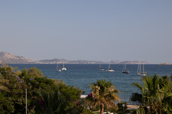 romantic-summer-wedding-athens-white-orchids_07x