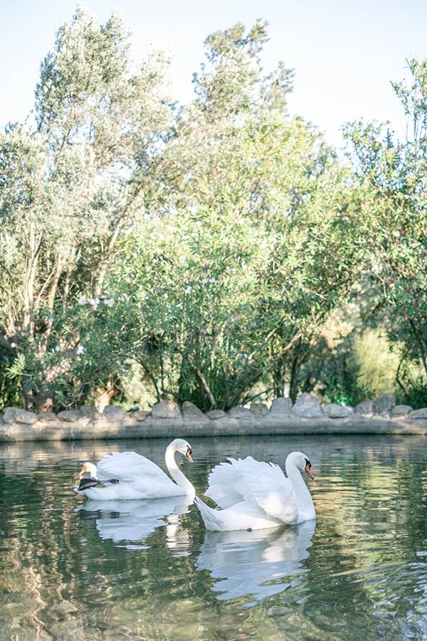 wedding-venues-agroktima-meleagris_02