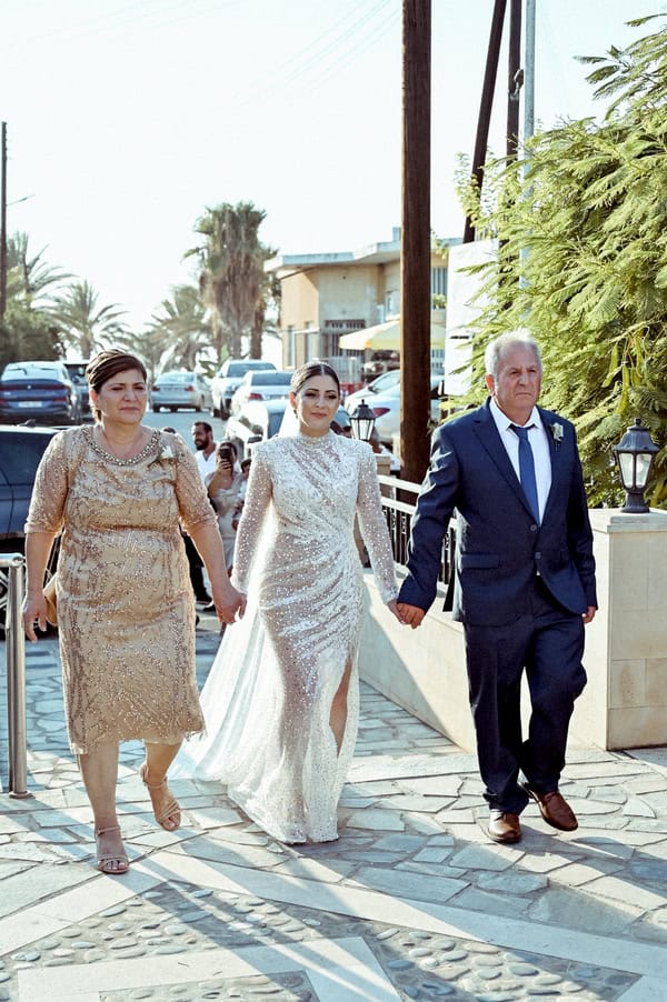 A Gorgeous Wedding Evgenios Hills