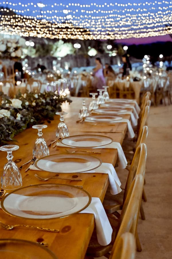 A Gorgeous Wedding Evgenios Hills