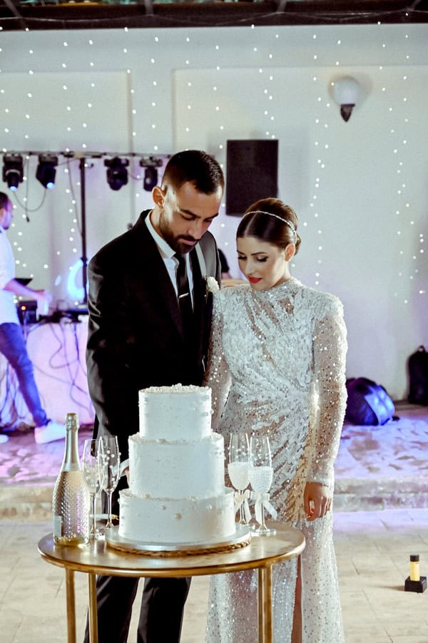 A Gorgeous Wedding Evgenios Hills