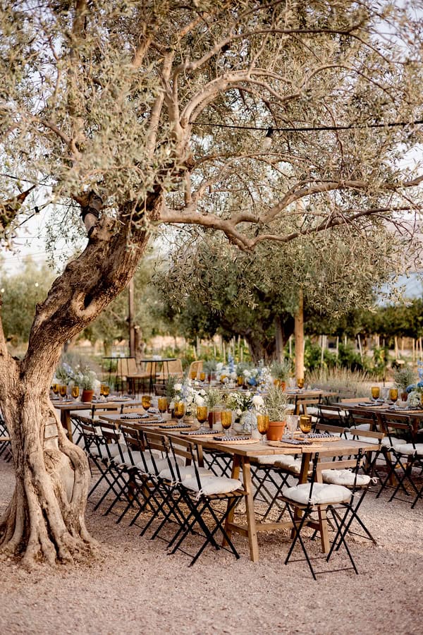 Prewedding Celebration Margi Farm