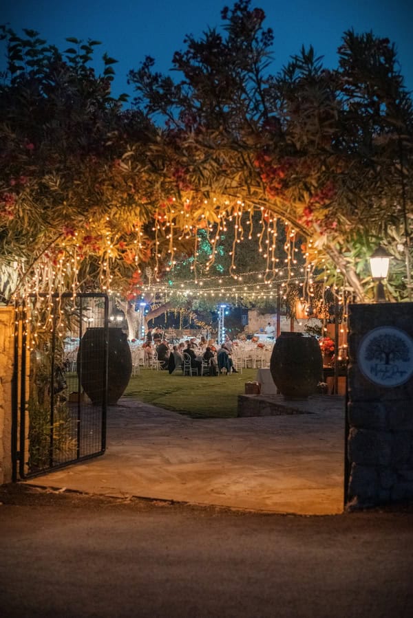 wedding-venues-metochi-driyas-estate-10