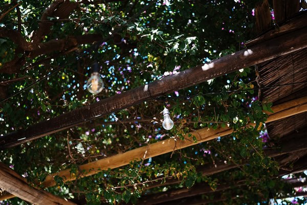 wedding-venues-metochi-driyas-estate-28