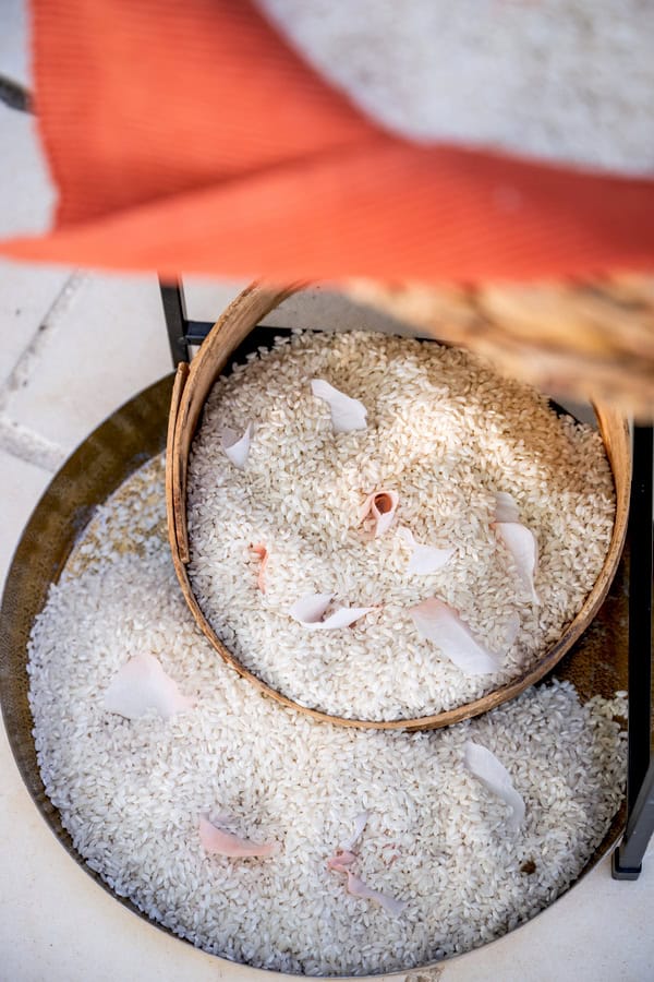 Colorful Emotional Civil Wedding