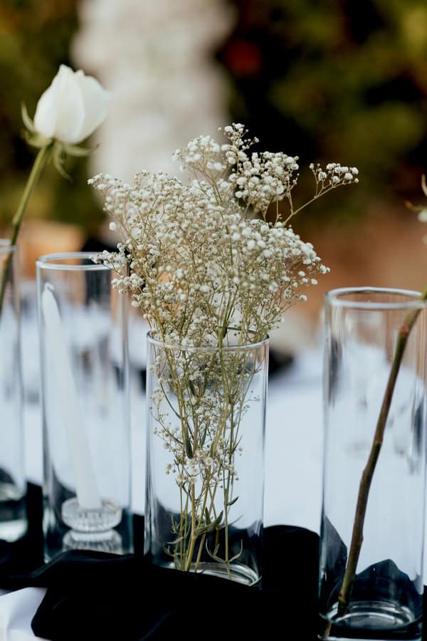 Romantic Black And White Summer Wedding Paphos