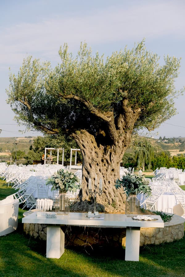 Romantic Summer Wedding White Hues Alsos Nymfon