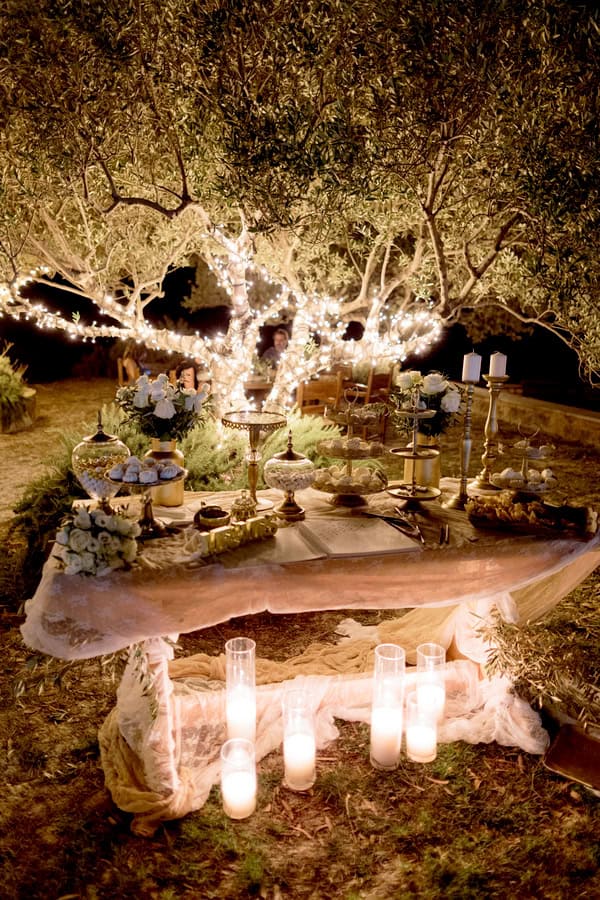 wedding-venues-biolea-astrikas-estate-10