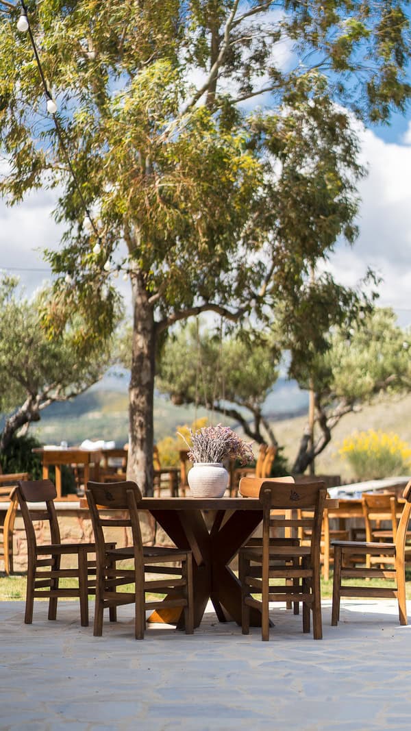 wedding-venues-biolea-astrikas-estate-32