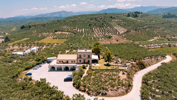 wedding-venues-biolea-astrikas-estate-54