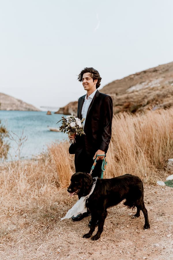 Serifos Island Wedding Lemons Olive Leaves