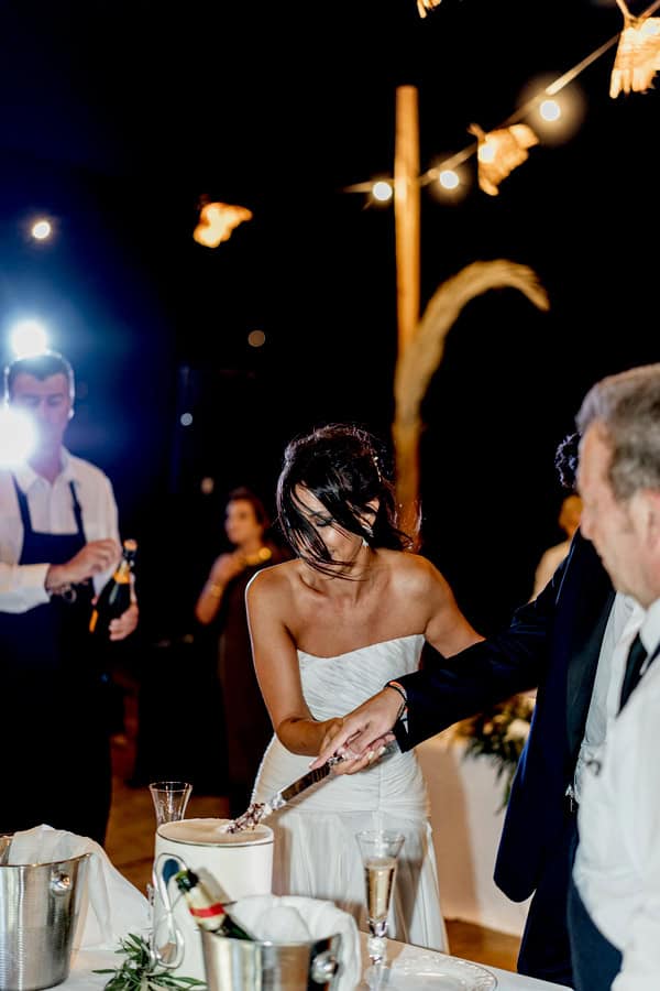 Serifos Island Wedding Lemons Olive Leaves