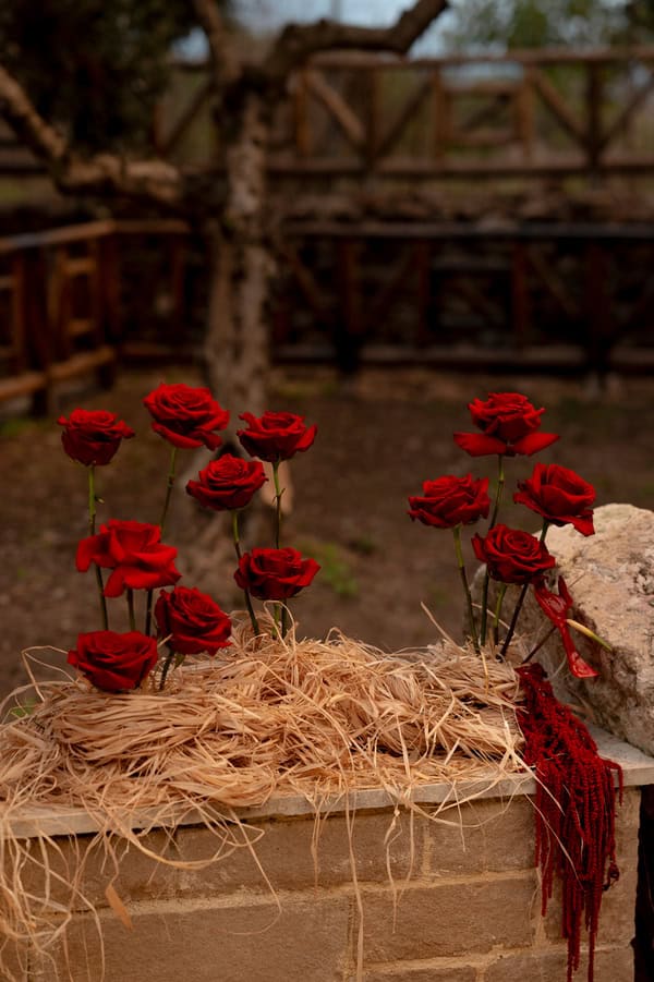 Moody Romantic Wedding Inspiration Atmospheric Olive Grove