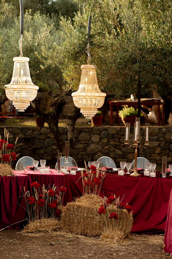 Moody Romantic Wedding Inspiration Atmospheric Olive Grove