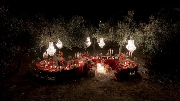 Moody Romantic Wedding Inspiration Atmospheric Olive Grove